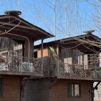 الان-بخر-6ماه-بعد-پولشو-بده