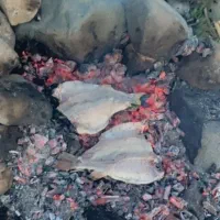 طبیعت گردی کوه نوردی