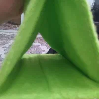 مخفیگاه وهودی پرنده|لوازم جانبی حیوانات|ایلام, |دیوار