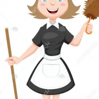 خانم جهت امور منزل