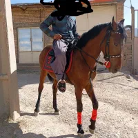 نریون دوسال