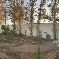 باغچه ۴۴۰متری/۴دیواری/دونبش/سند تک برگ/پدم|فروش خانه و ویلا|محمدشهر, محمدشهر|دیوار