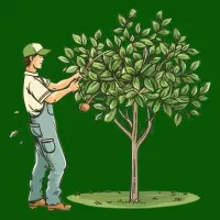 هرس‌کاری‌درختان‌و‌قطع‌درخت|خدمات باغبانی و درختکاری|خلخال, |دیوار