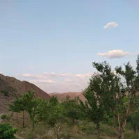 باغ میوه وتفرجگاه|فروش زمین و ملک کلنگی|مشهد, جاهد شهر|دیوار