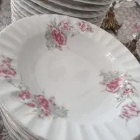 سرویس چینی گل عروس|ظروف سرو و پذیرایی|کاشمر, |دیوار