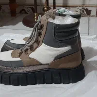 بوت لا استرادا کشور هلند نوی نو