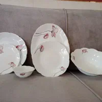 ظروف|ظروف سرو و پذیرایی|زنجان, |دیوار