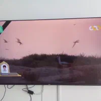 تلویزیون 50 اینچ