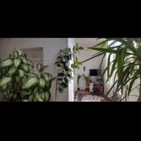 فروش-مسکونی-قدیمی-234متری-گلدشت