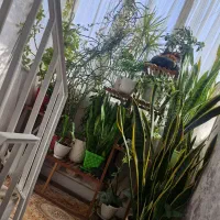 خانه ویلایی ۵۵ متری  سند شیش دانگ