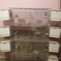 قفس هشت خان