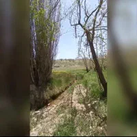 فروش باغ ثمری تفریحی|فروش زمین و ملک کلنگی|اصفهان, شاهزاده ابراهیم|دیوار