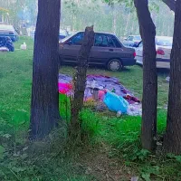 پراید ۸۴ دوگانه دستی ۲۸۰تومان