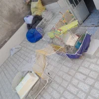 قفسه پرنده