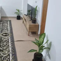 منزل مبله|اجارهٔ کوتاهمدت آپارتمان و سوئیت|بندرلنگه, |دیوار