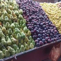 نیازمند نیروی کار