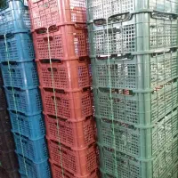 استخدام نیروی کار