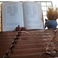 بلاگر نوازنده