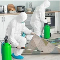 شرکت سمپاشی ساس کنه کک موش سوسک بید مایت گال