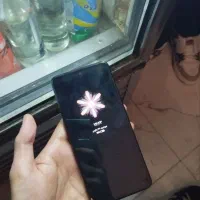 note 11 pro|موبایل|مشهد, مشهدقلی|دیوار