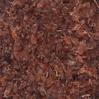 کشمش اعلاء انگور عسکری|خوردنی و آشامیدنی|کرمانشاه, |دیوار