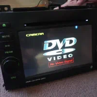 یک جفت طوطی برزیلی|پرنده|چهارباغ, |دیوار