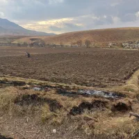 محصولات گلخانه ای وپرورش گل