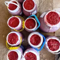 رب گوجه فرنگی محلی