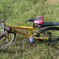 دوچرخه سالم