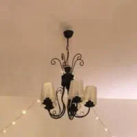 لوسترفرفوژه۲عددبسیارسالم