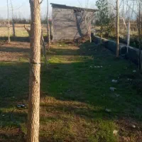 زمین-داخل-طرح-هادی