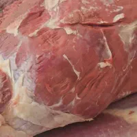 کارگر مرغ وماهی