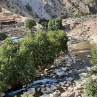 کی حجامت انجام میده