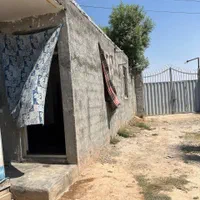 فروش باغ از ۵۴۰۰ متری سند دار|فروش خانه و ویلا|شریفآباد, |دیوار