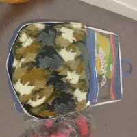 پتو|رختخواب، بالش، پتو|گرگان, |دیوار