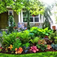خدمات حرفه ای باغبانی و سمپاشی و فضای سبز|خدمات باغبانی و درختکاری|کرج, جهان‌شهر|دیوار