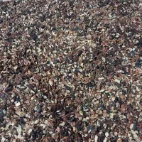 مغز گردو|خوردنی و آشامیدنی|ری, شهرری|دیوار