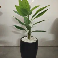 گل‌های مصنوعی کنار سالنی و رومیزی