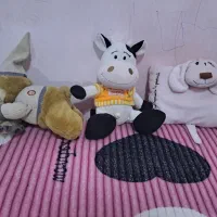 عروسک|اسباببازی بچه|رشت, معلولین|دیوار