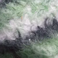 گواهی نامه وگاپیشن