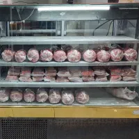 یخچال و فریزر