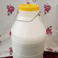 لبنیات محلی گوسفندی