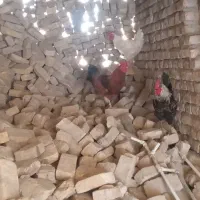 خروس