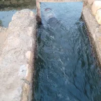 اجاره زمین کشاورزی/25 هکتار/چاه برقی/شهرستان سرخس|اجارهٔ دفتر صنعتی، کشاورزی، تجاری|مشهد, فرودگاه|دیوار