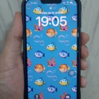 اپل آیفون ۱۳ درحد آک