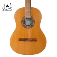 گیتار پارسی