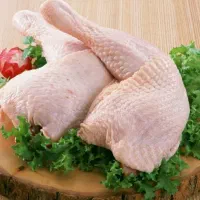 سفارشات مرغ کامل وقطعه بندی برای مجالس