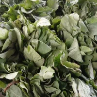 فروش نشا محلی
