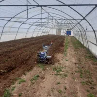 آماده-همکاری-با-مشارکت-در-ساخت-گلخانه