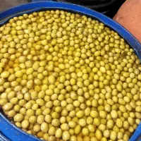 زیتون طارم|خوردنی و آشامیدنی|تهران, حشمتیه|دیوار